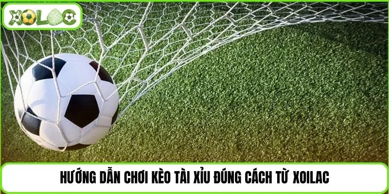 Hướng dẫn chơi kèo tài xỉu đúng cách từ Xoilac