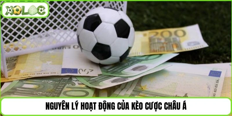 Nguyên lý hoạt động của kèo cược châu Á