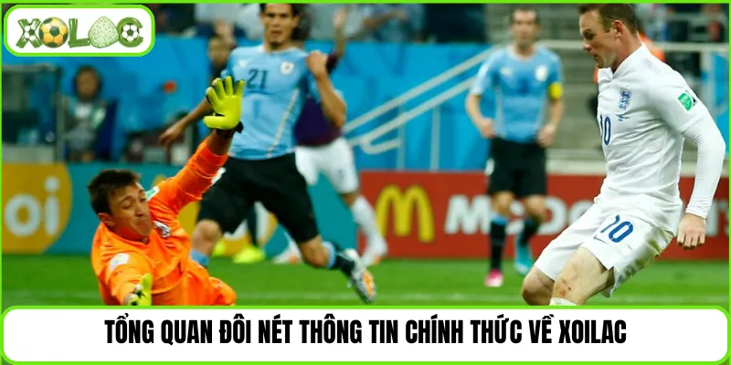 Tổng quan đôi nét thông tin chính thức về Xoilac